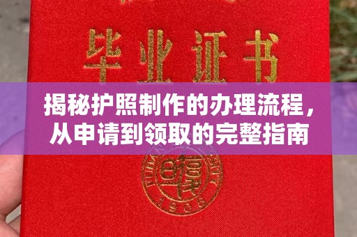 洛隆揭秘护照制作的办理流程，从申请到领取的完整指南