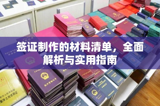 洛隆签证制作的材料清单，全面解析与实用指南