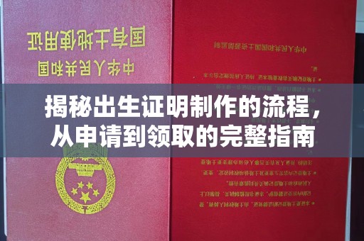 洛隆揭秘出生证明制作的流程，从申请到领取的完整指南