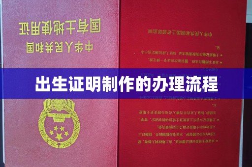 洛隆出生证明制作的办理流程