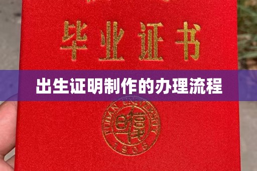 洛隆出生证明制作的办理流程