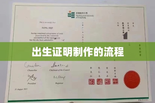 洛隆出生证明制作的流程