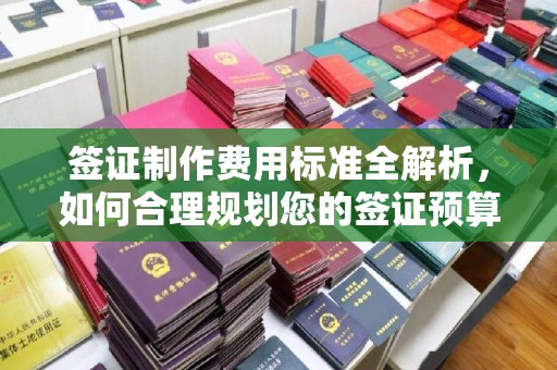 洛隆签证制作费用标准全解析，如何合理规划您的签证预算？